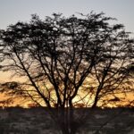 Arts & Vie - Namaland et Kalahari - Namibie