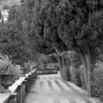 Arts & Vie -Taormina - Sicile