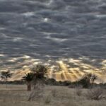 Arts & Vie - Namaland et Kalahari - Namibie