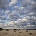 Arts & Vie - Namaland et Kalahari - Namibie