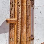 Arts & Vie - Atacama - Chili