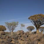 Arts & Vie - Namaland et Kalahari - Namibie