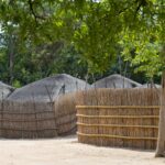 Arts & Vie - Eswatini - Afrique du sud