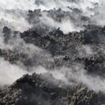 Arts & Vie -Etna - Sicile