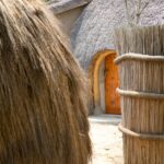 Arts & Vie - Eswatini - Afrique du sud