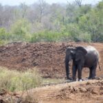 Arts & Vie - Eswatini - Afrique du sud