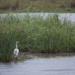 Arts & Vie - Zululand / Natal - Afrique du sud