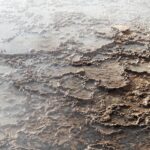 Arts & Vie - El Tatio - Chili