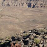 Arts & Vie - Fish River - Namibie