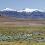 Arts & Vie - L'altiplano - Chili
