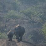 Arts & Vie - Zululand / Natal - Afrique du sud