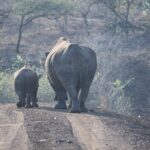 Arts & Vie - Zululand / Natal - Afrique du sud
