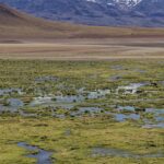 Arts & Vie - L'altiplano - Chili