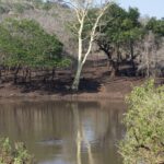 Arts & Vie - Zululand / Natal - Afrique du sud