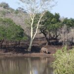 Arts & Vie - Zululand / Natal - Afrique du sud