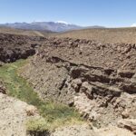 Arts & Vie - L'altiplano - Chili
