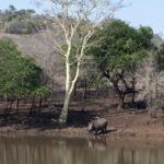 Arts & Vie - Zululand / Natal - Afrique du sud