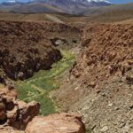 Arts & Vie - L'altiplano - Chili