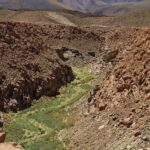 Arts & Vie - L'altiplano - Chili