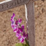 Arts & Vie - Atacama - Chili