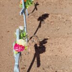 Arts & Vie - Atacama - Chili