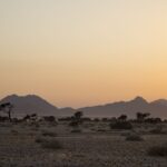 Arts & Vie - Sossusvlei - Namibie