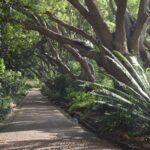 Arts & Vie - Le Cap - Afrique du sud