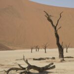 Arts & Vie - Sossusvlei - Namibie