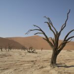 Arts & Vie - Sossusvlei - Namibie