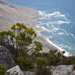Arts & Vie - Le Cap - Afrique du sud