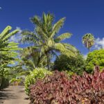 Arts & Vie - Rapa Nui (île de Pâques) - Chili