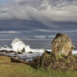 Arts & Vie - Rapa Nui (île de Pâques) - Chili