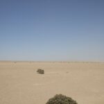 Arts & Vie - Swakopmund - Namibie