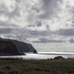 Arts & Vie - Rapa Nui (île de Pâques) - Chili