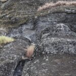 Arts & Vie - Rapa Nui (île de Pâques) - Chili