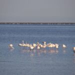 Arts & Vie - Swakopmund - Namibie