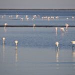 Arts & Vie - Swakopmund - Namibie