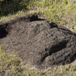 Arts & Vie - Rapa Nui (île de Pâques) - Chili