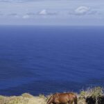 Arts & Vie - Rapa Nui (île de Pâques) - Chili