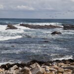 Arts & Vie - Cap de Bonne Esperance - Afrique du sud