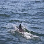 Arts & Vie - Swakopmund - Namibie