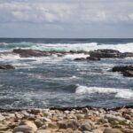 Arts & Vie - Cap de Bonne Esperance - Afrique du sud