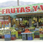 Arts & Vie - San José - Costa Rica