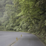 Arts & Vie - San José - Costa Rica