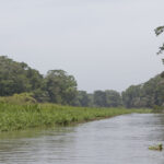 Arts & Vie - Tortuguero - Costa Rica