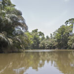 Arts & Vie - Tortuguero - Costa Rica
