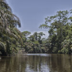 Arts & Vie - Tortuguero - Costa Rica