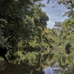 Arts & Vie - Tortuguero - Costa Rica
