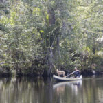Arts & Vie - Tortuguero - Costa Rica