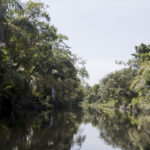 Arts & Vie - Tortuguero - Costa Rica
